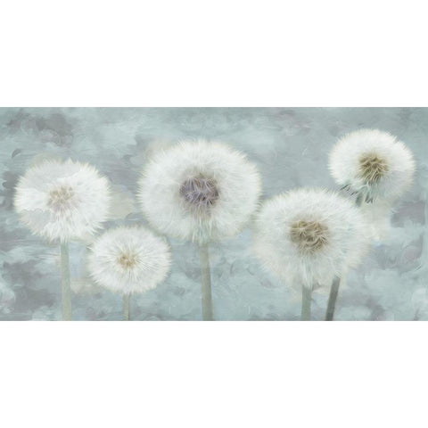 Wishful Thinking 1 Black Modern Wood Framed Art Print with Double Matting by Prime, Marcus