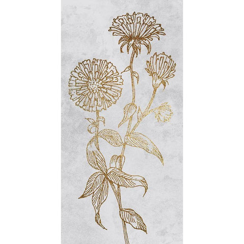 Golden Reach 2 Black Modern Wood Framed Art Print by Prime, Marcus