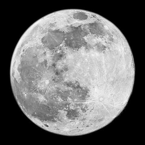 To The Moon 2 Black Modern Wood Framed Art Print by Prime, Marcus