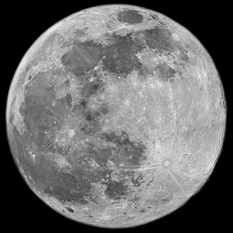 To The Moon Black Modern Wood Framed Art Print by Prime, Marcus
