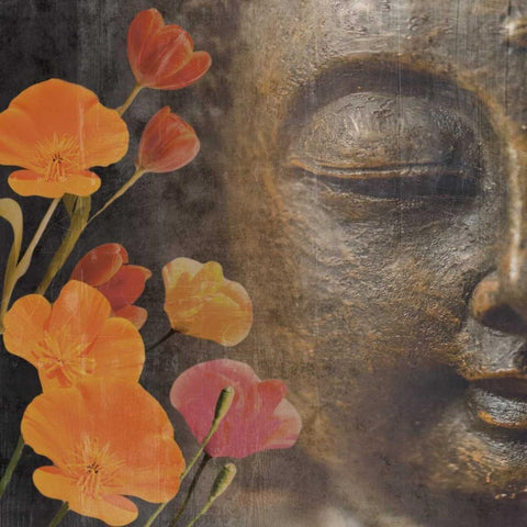 Floral Zen 1 Black Modern Wood Framed Art Print by Prime, Marcus