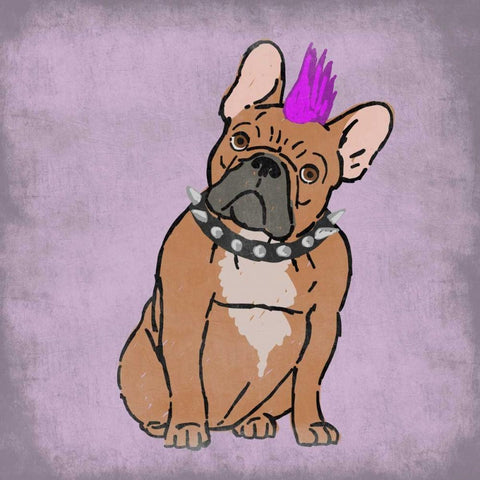 Rockin Frenchie Black Modern Wood Framed Art Print with Double Matting by Prime, Marcus