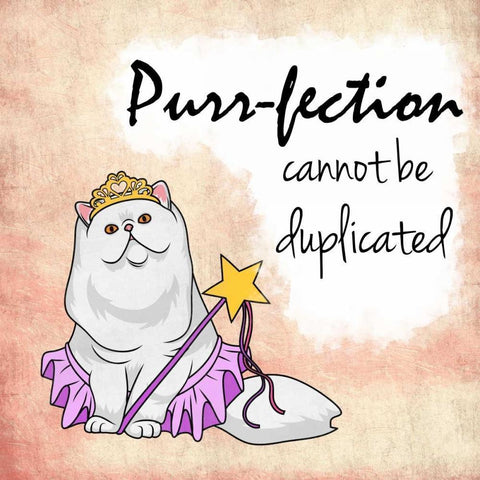 Miss Purrfection White Modern Wood Framed Art Print by Prime, Marcus