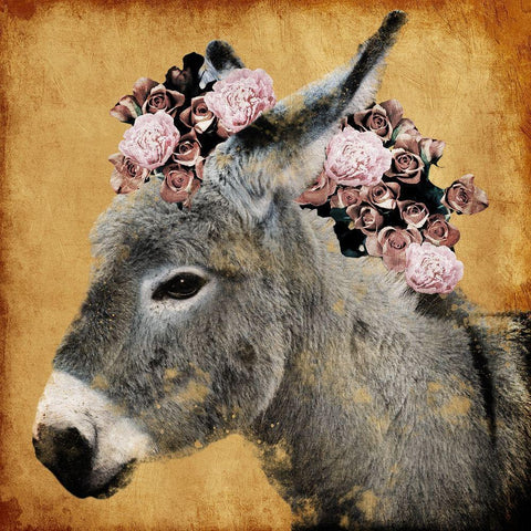 Pretty Donkey Black Modern Wood Framed Art Print by Prime, Marcus
