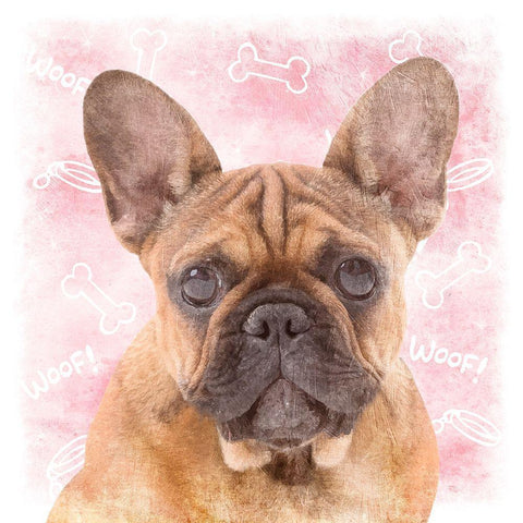 Woof Woof 1 Black Modern Wood Framed Art Print with Double Matting by Prime, Marcus