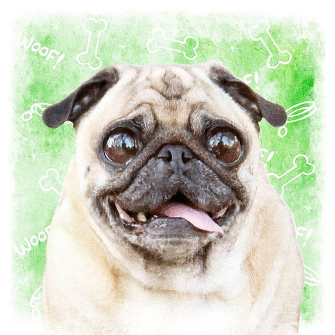 Woof Woof 3 Black Ornate Wood Framed Art Print with Double Matting by Prime, Marcus
