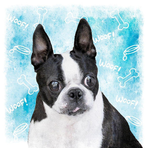Woof Woof 4 White Modern Wood Framed Art Print with Double Matting by Prime, Marcus