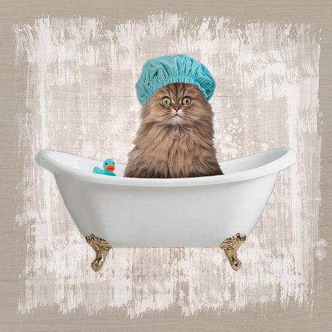 Kitty Baths 2 White Modern Wood Framed Art Print by Prime, Marcus