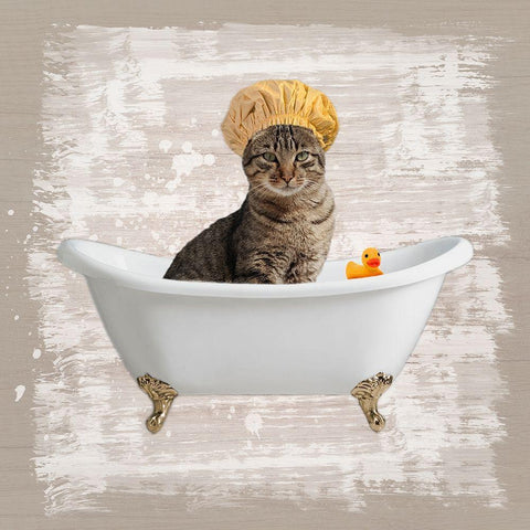 Kitty Baths 4 Black Modern Wood Framed Art Print by Prime, Marcus