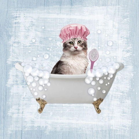 Fun Kitty Bath 1 Black Modern Wood Framed Art Print with Double Matting by Prime, Marcus