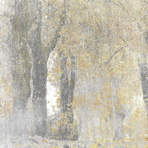 Lost Woods 2 White Modern Wood Framed Art Print with Double Matting by Prime, Marcus