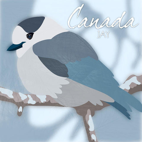 Canada Jay White Modern Wood Framed Art Print with Double Matting by Prime, Marcus