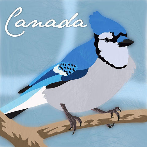 Canada Blue Jay Black Modern Wood Framed Art Print by Prime, Marcus