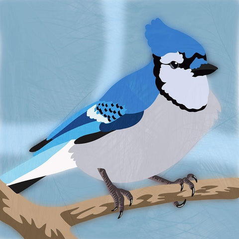 Majestic Blue Jay White Modern Wood Framed Art Print by Prime, Marcus