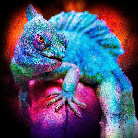 Party Gecko Black Modern Wood Framed Art Print by Prime, Marcus