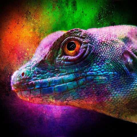 Party Lizard White Modern Wood Framed Art Print with Double Matting by Prime, Marcus