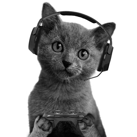 Gaming Cuteness White Modern Wood Framed Art Print by Prime, Marcus