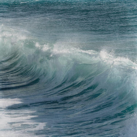 Turbulent Beauty 1 Black Ornate Wood Framed Art Print with Double Matting by Prime, Marcus