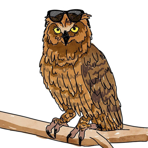 Cool Owl White Modern Wood Framed Art Print with Double Matting by Prime, Marcus