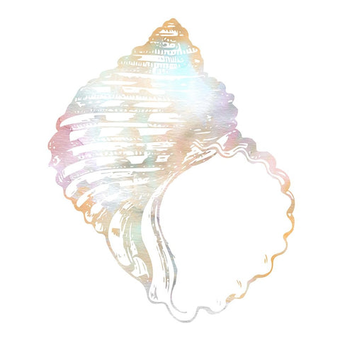 Brilliant Shells 1 White Modern Wood Framed Art Print with Double Matting by Prime, Marcus