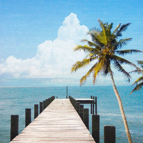 Coastal Destinations White Modern Wood Framed Art Print with Double Matting by Prime, Marcus