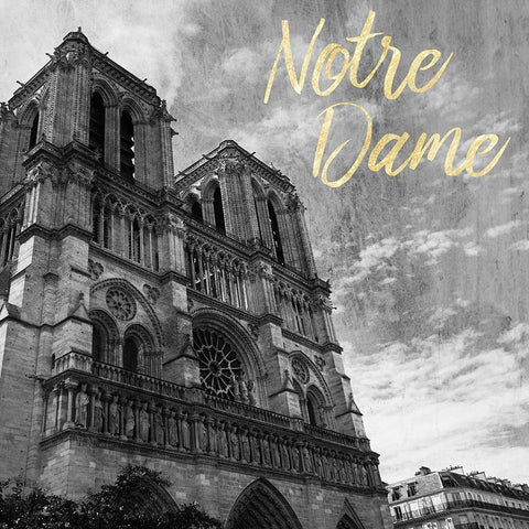 Notre Dame White Modern Wood Framed Art Print with Double Matting by Prime, Marcus