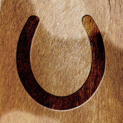 Horse Shoeing Around White Modern Wood Framed Art Print with Double Matting by Prime, Marcus