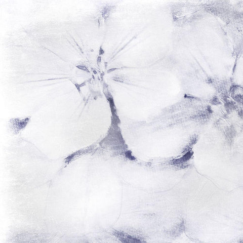 Striking Beauty 1 Black Modern Wood Framed Art Print with Double Matting by Prime, Marcus