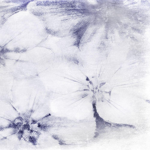 Striking Beauty 2 Gold Ornate Wood Framed Art Print with Double Matting by Prime, Marcus