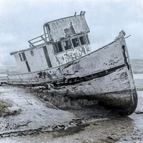Shipwrecked Minnow 1 Black Modern Wood Framed Art Print with Double Matting by Prime, Marcus