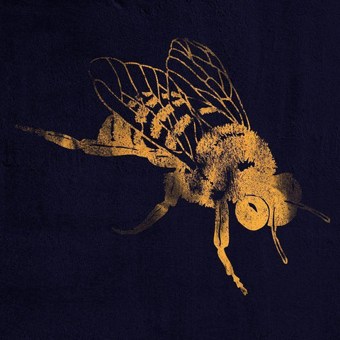 Honey Bee 1 Black Modern Wood Framed Art Print by Prime, Marcus