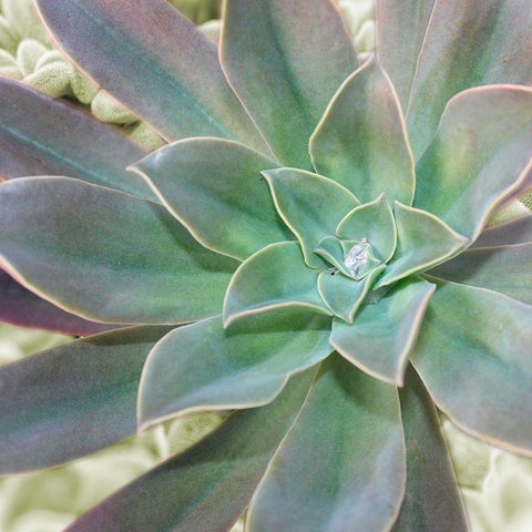 Springtime Joys 1 Black Ornate Wood Framed Art Print with Double Matting by Prime, Marcus