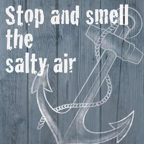 Salty Air 1 Black Modern Wood Framed Art Print with Double Matting by Prime, Marcus