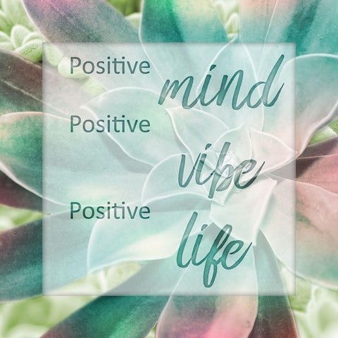 Springtime Magnifique 1 Black Ornate Wood Framed Art Print with Double Matting by Prime, Marcus