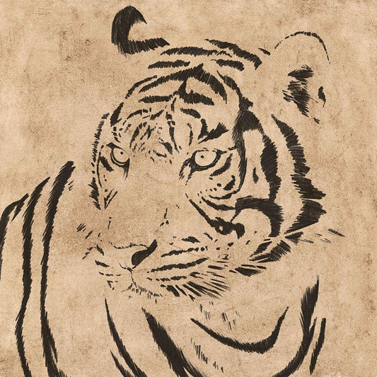 Image Only