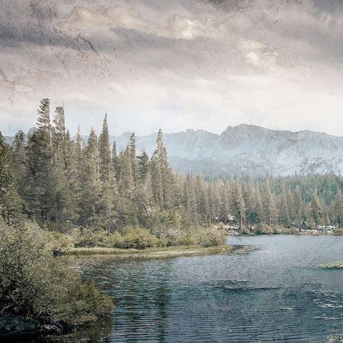 Wilderness Wonders 3 Black Ornate Wood Framed Art Print with Double Matting by Prime, Marcus