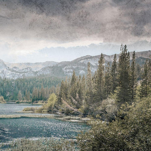 Wilderness Wonders 4 Black Modern Wood Framed Art Print with Double Matting by Prime, Marcus