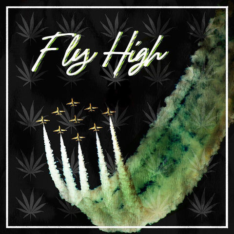 Fly High 1 White Modern Wood Framed Art Print with Double Matting by Prime, Marcus