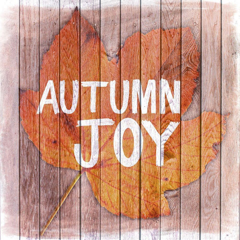 Autumn Joy 1 Black Modern Wood Framed Art Print with Double Matting by Prime, Marcus