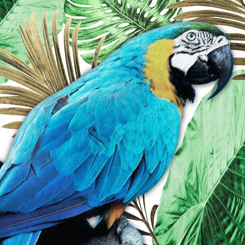 Tropical Views 2 White Modern Wood Framed Art Print with Double Matting by Prime, Marcus