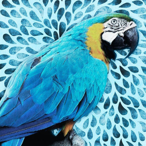 Tropical Views Gold Ornate Wood Framed Art Print with Double Matting by Prime, Marcus