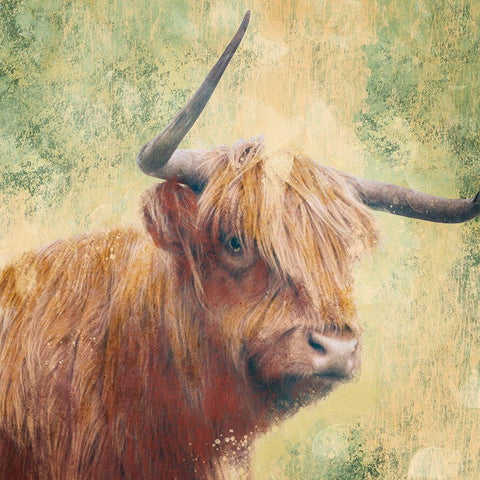 Furry Bull White Modern Wood Framed Art Print by Prime, Marcus