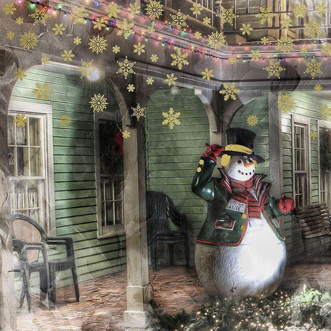 Winter Porch 1 Black Ornate Wood Framed Art Print with Double Matting by Prime, Marcus