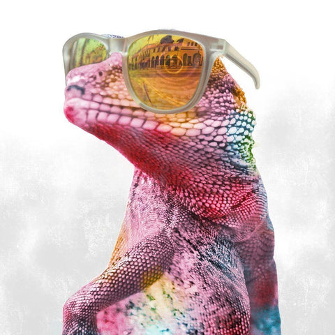 Cool Gecko 1 Black Modern Wood Framed Art Print with Double Matting by Prime, Marcus