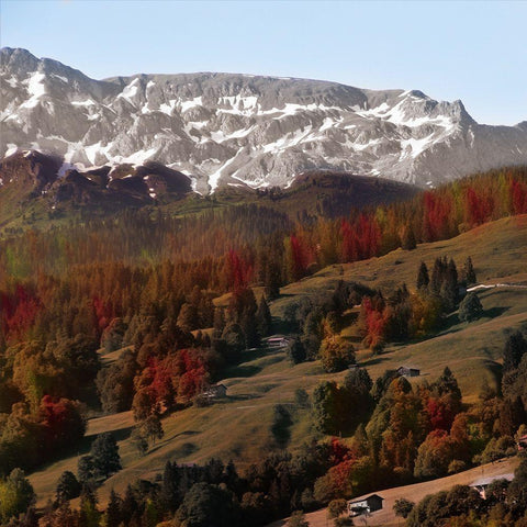 Rolling Autumn Hills Black Ornate Wood Framed Art Print with Double Matting by Prime, Marcus