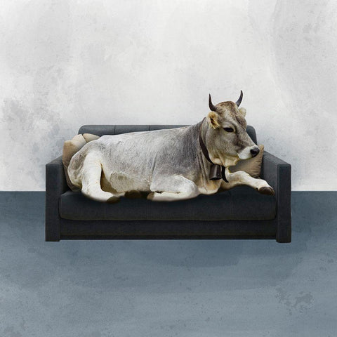 Chilling Karen White Modern Wood Framed Art Print by Prime, Marcus