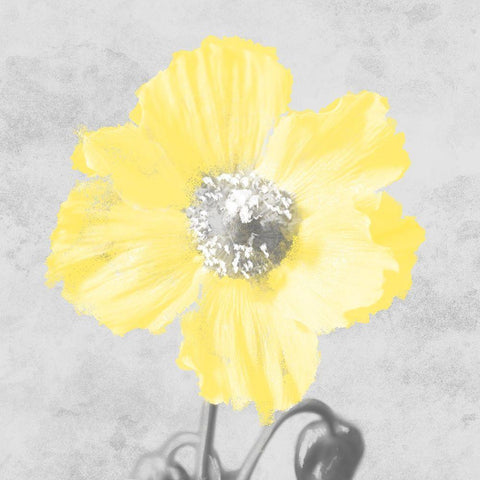 Delightful Lumination 1 White Modern Wood Framed Art Print by Prime, Marcus