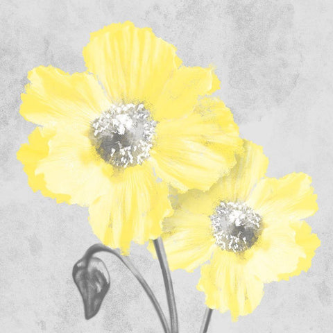 Delightful Lumination 2 Black Modern Wood Framed Art Print by Prime, Marcus