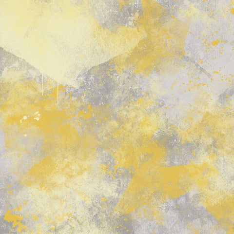 Sunshine And Streaks Black Ornate Wood Framed Art Print with Double Matting by Prime, Marcus