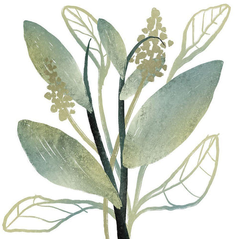 Intertwined Vibrant Foliage 1 White Modern Wood Framed Art Print with Double Matting by Prime, Marcus